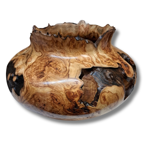 Click to view detail for JW-264 Colorado Aspen Burl Hollow Woodturning $1600
